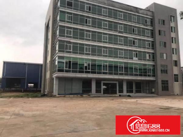 惠州市博罗县全新10米钢构厂房出租