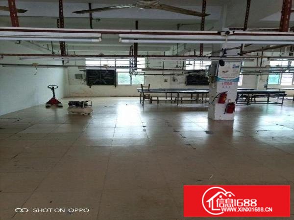 龙岗中心城银翠路龙城广场站附近厂房450平米