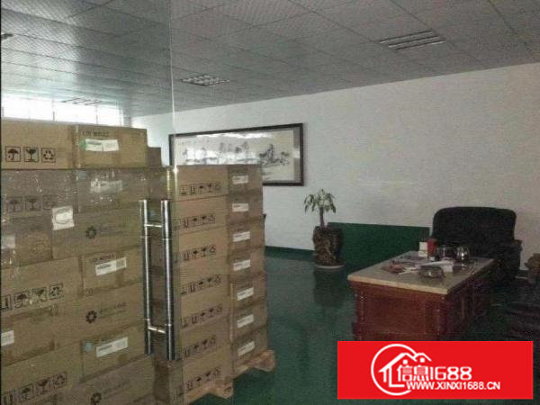 布吉沙湾路旁一楼300平方标准厂房招租