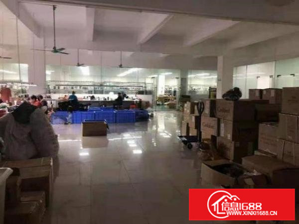 常平镇金美村正规科技园2楼1200㎡