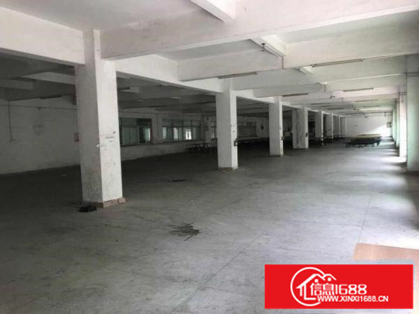 出租常平天鹅湖一楼厂房