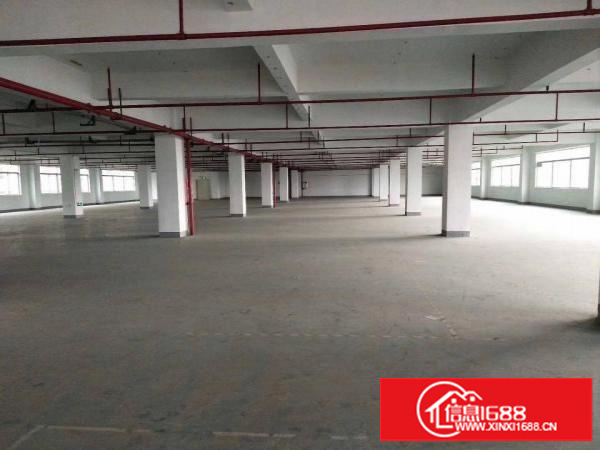 平湖辅城坳二楼1350平对外急租交通方便