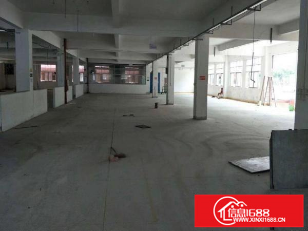 惠阳三和经济开发区大型工业园厂房出租