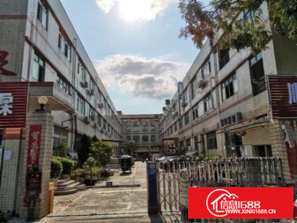 松岗厂房直租，巨划算，带宿舍！