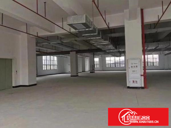 东坑全新园区招商，2楼3楼，空地大，配套完善