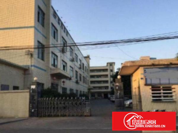 万江石美带现成办公室标准一楼800平方急租空地大交通方便