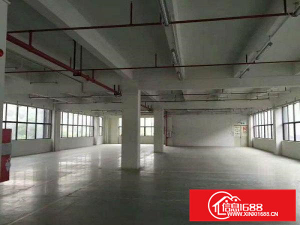 凤岗标准厂房楼上1000平出租园区形像好带装修