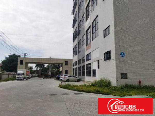 茶山全新标准一楼厂房出租1500平方，带牛角水电到位，高7米