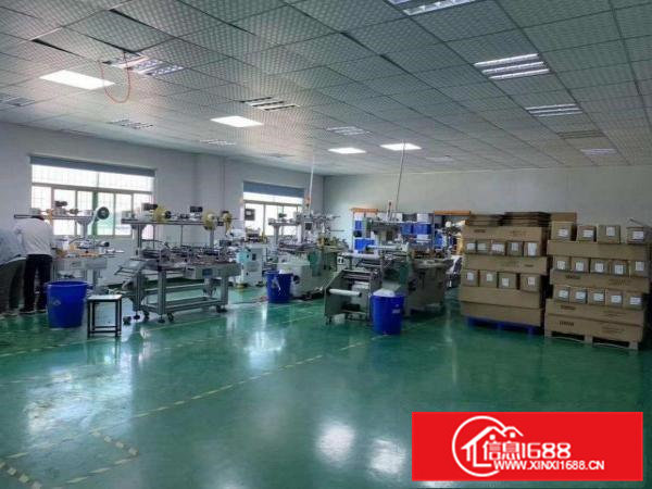 13元二楼地平漆加豪华办公室装修厂房转租