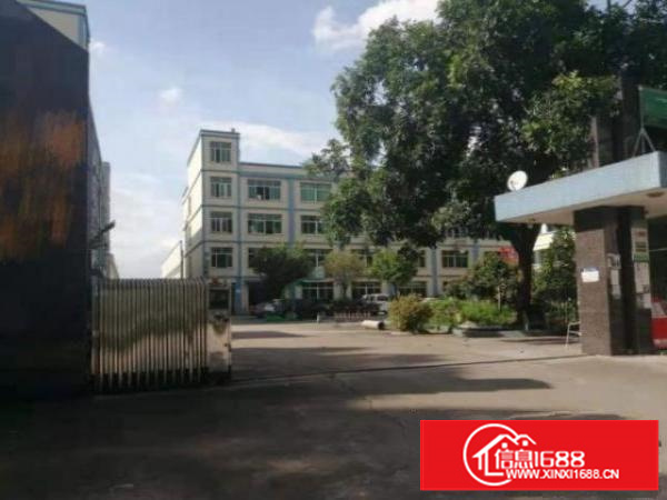 茶山超朗村标准厂房一楼400平方招租