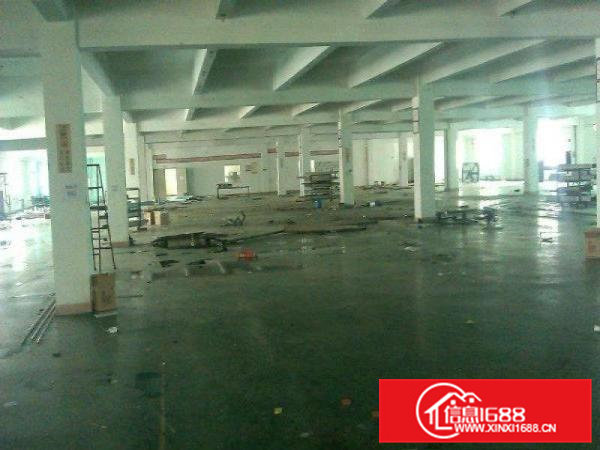 带豪华装修厂房招租）大朗镇中心新出楼上1350平