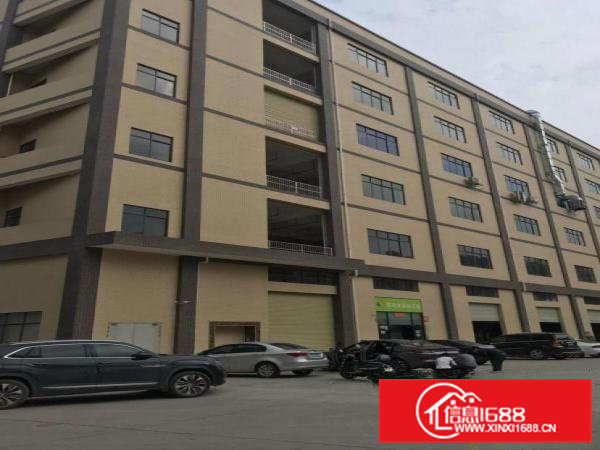 全新厂房1300平金刚砂喷雾处理地面，层高4.5米，2吨货梯