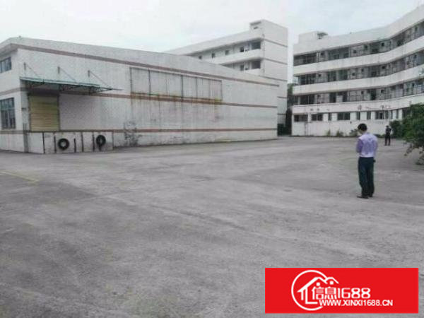 龙岗坪地北通道或龙岗大道钢构厂房1300平出租