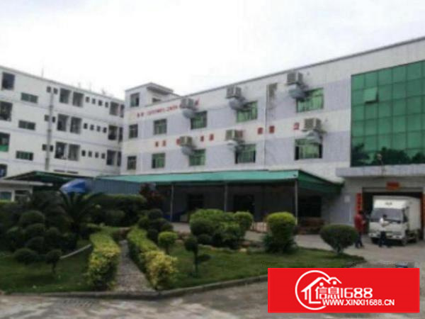 万江带现成装修标准一楼600或1000平方招租