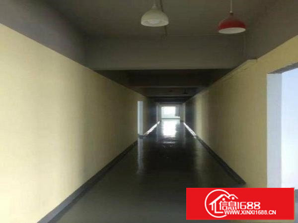 五和南坑110平300平500平1000平厂房出租