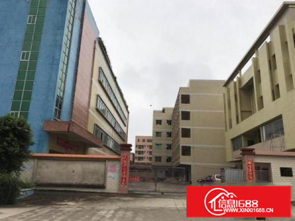 园洲厂房出租小独院标准厂房国有地正件齐全，可办环评