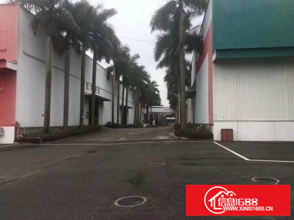 龙岗坪地主干道旁40000平米红本钢构厂房大小分租