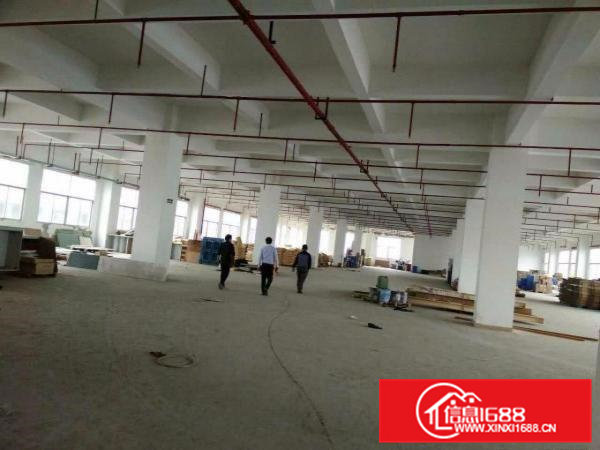 清溪东深高速旁一楼厂房2200平方高度6.5米