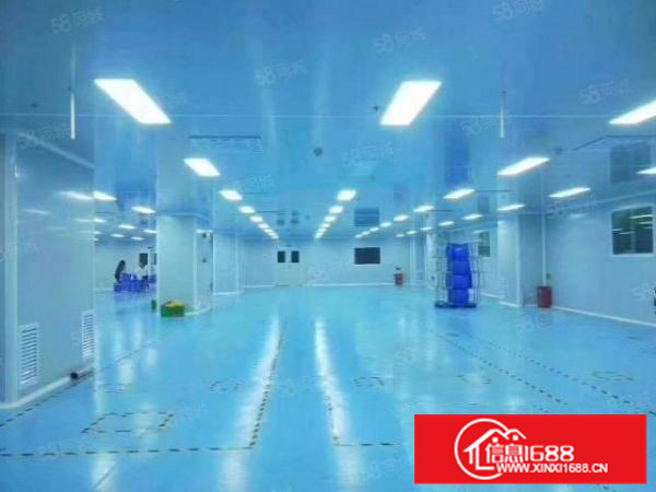 十万级无尘车间容桂标准3000方厂房出租