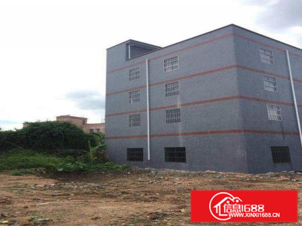 秋长全新厂房四层1120平标准厂房交通便利可分