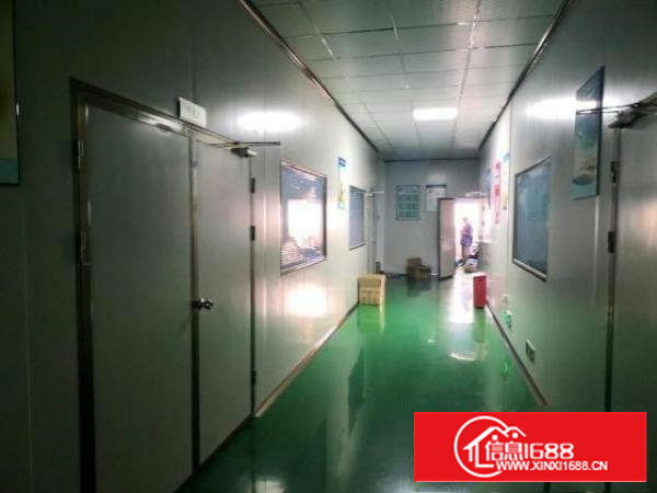 沙井步涌新出1500平千级无尘车间免装修费