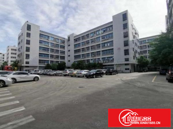 坂田上雪工业园新出1260平楼上厂房出租带装修办公室采光好