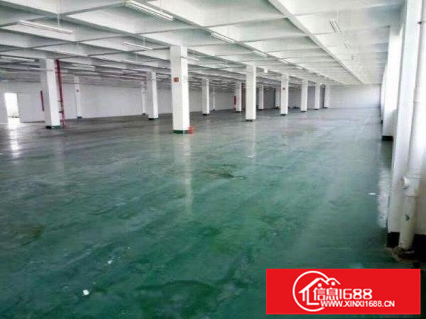 龙岗宝龙产业园精装修厂房3000平米出租可分租