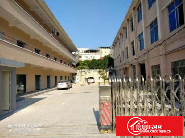 龙岗横岗坪山坑梓独院厂房出租面积大小自选