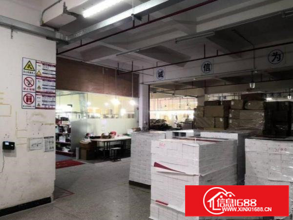 松木山原房东标准厂房一楼900平方米出租