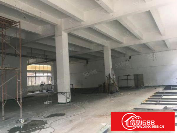 大康独院2层3200平方出租，可分层租