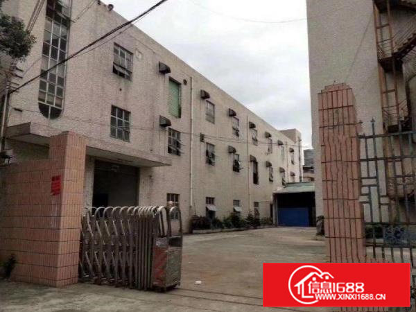 出租大朗圣堂新出原房东标准厂房一楼1200平米，可办环评