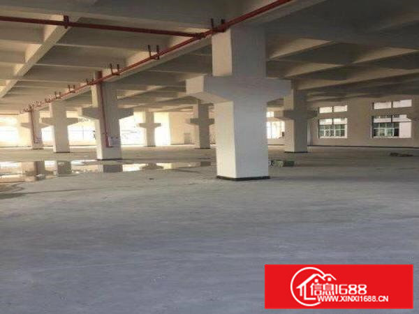 东莞桥头全新独院厂房招租1至5层13500平带牛角