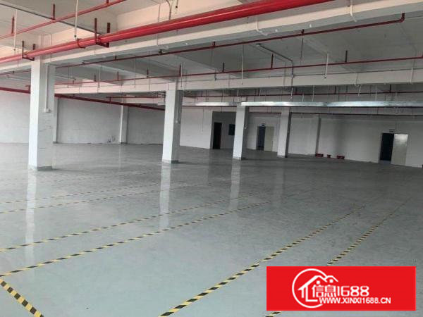 塘厦新出带装修楼上整层电子厂