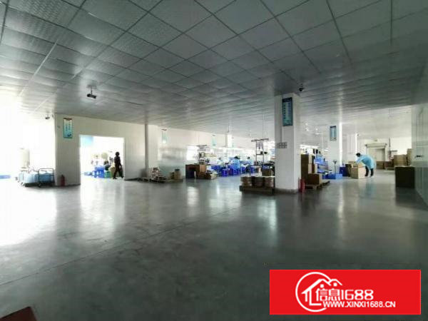 塘厦龙背岭1400平方米 标准2楼厂房 面积实在 办公室装修