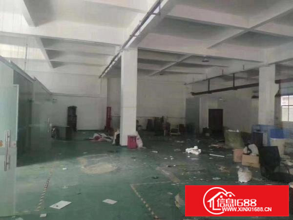 谢坑村新出一楼320平二楼500平厂房出租可分租