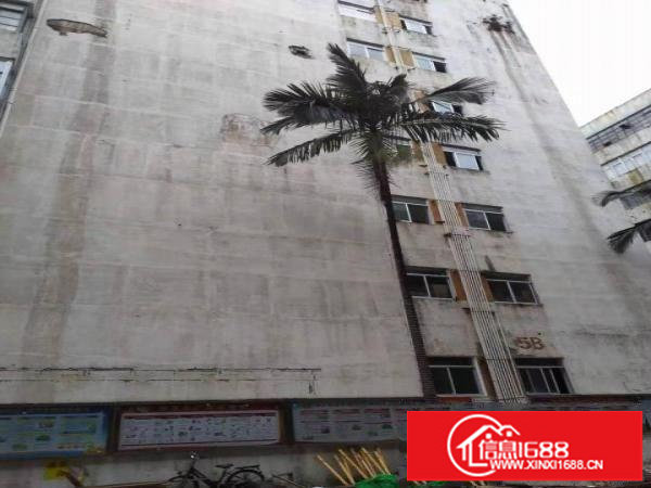 一手正规房源出租