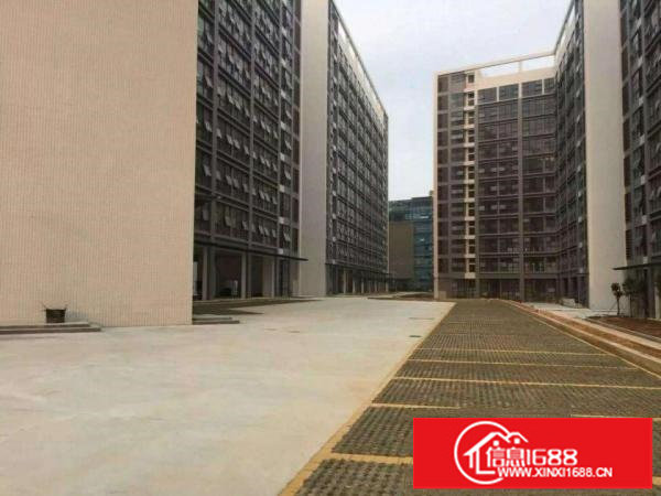 龙岗坪地低碳城德国小镇厂房出租与上市公司做邻居