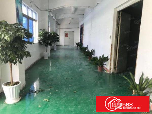 原房东带红本！塘厦蛟乙楼上830平带地坪漆办公室电梯水电齐全