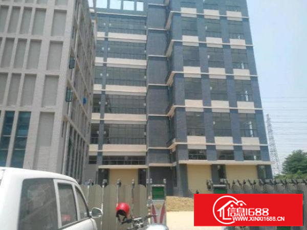 茶山全新独院厂房50000㎡招租