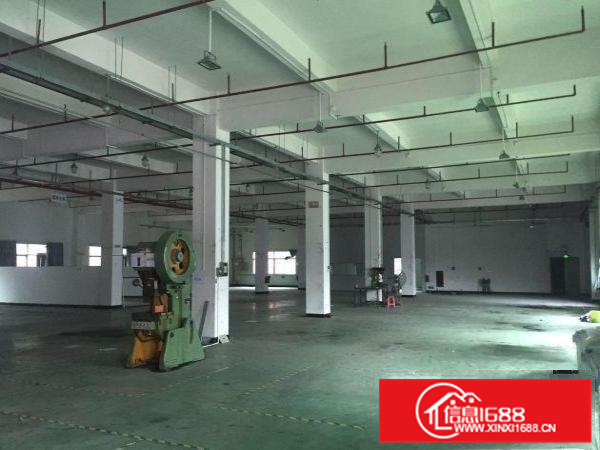 仲恺惠环站一楼1500平标准厂房