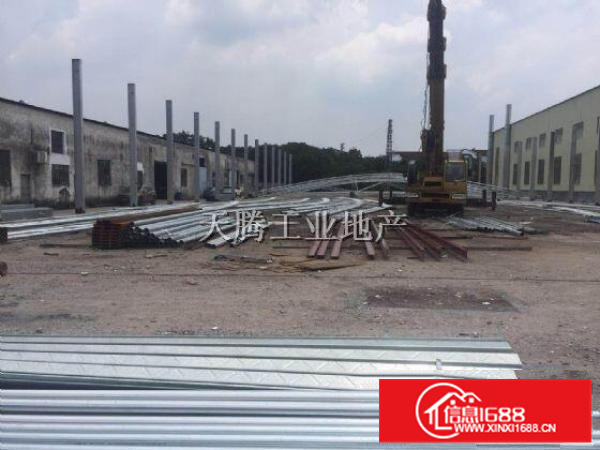 大良首层2000方高10米电100千瓦