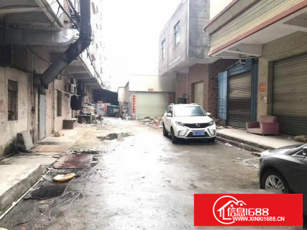 新屋出租共二层每层200平方