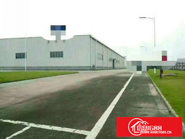 惠阳新圩3千平单一层厂房招租高度8米形象好