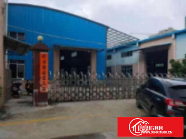 高埗小独院1200平米单一层铁皮厂房出租