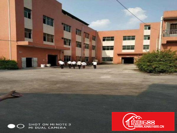 独门独院！带卸货平台！大亚湾钢构楼房出租