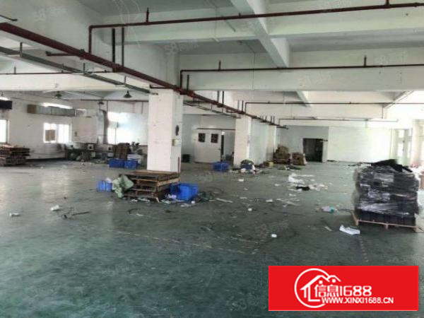 经典独院厂房出租6600平米形象交通好