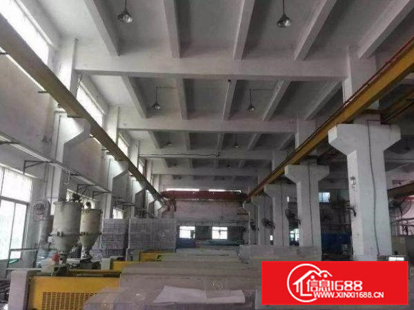 横江厦工业区一楼1600平高度6米水电到位