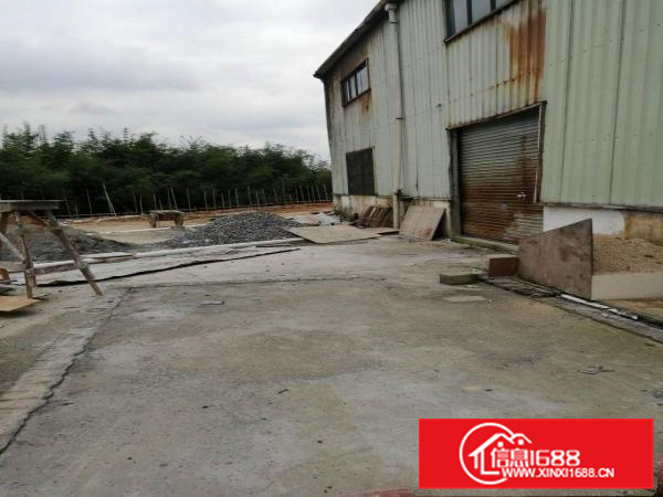 惠东县白花镇原房东铁皮房1200平方出租