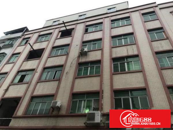 4-6楼招租，每层260平米，其中6楼是铁皮房160平米