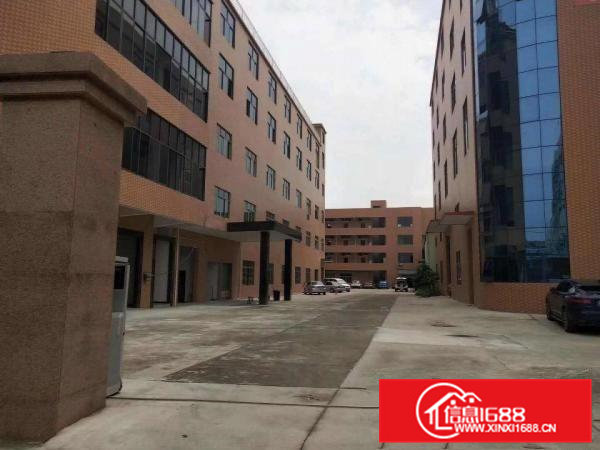 出租桥头镇桥东产业园全新重工业厂房